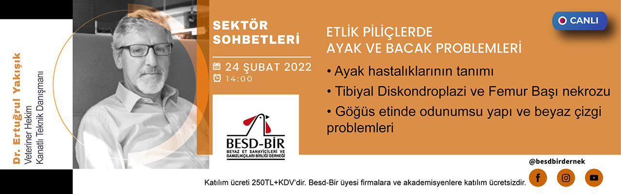 Sektör Sohbetleri
