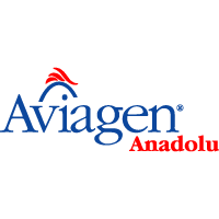 Aviagen Anadolu