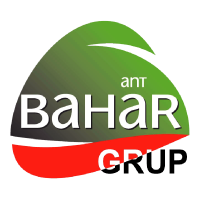 Bahar Hindi